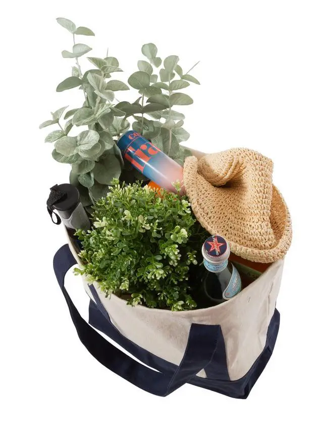 Alt view image 3 of 6 - (2 pack) Planet E Deluxe Reusable Canvas Shopping Bag, Large Grocery Tote Bag, Navy/Beige