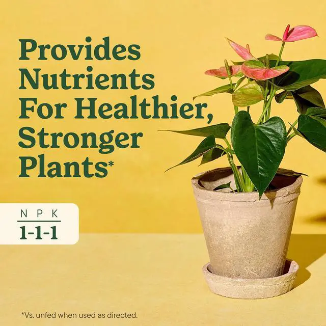 Alt view image 4 of 6 - Miracle-Gro Indoor Plant Food for All Plants, Liquid Food, 8 fl. oz