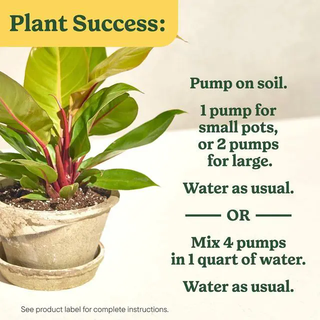 Alt view image 5 of 6 - Miracle-Gro Indoor Plant Food for All Plants, Liquid Food, 8 fl. oz