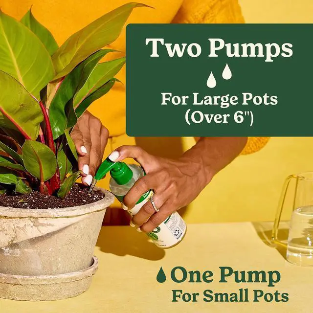 Alt view image 6 of 6 - Miracle-Gro Indoor Plant Food for All Plants, Liquid Food, 8 fl. oz