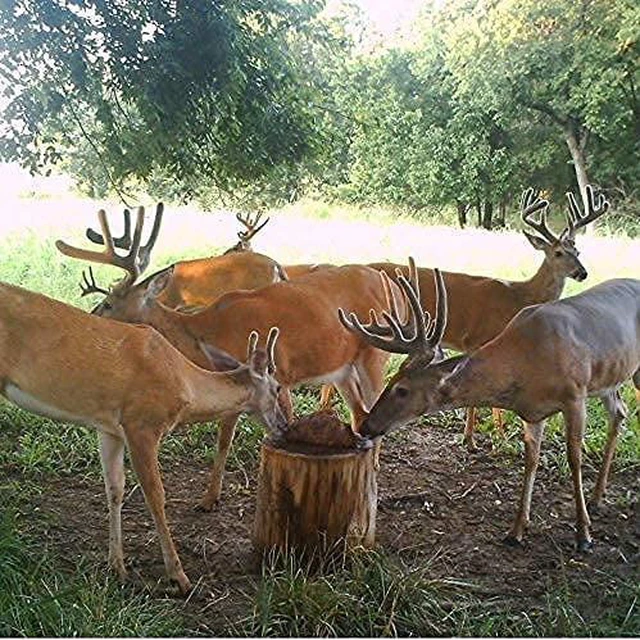 Alt view image 6 of 6 - Trophy Rock Redmond All-Natural Mineral Rock/Salt Lick, Attract Deer and Big Game (7 lb)