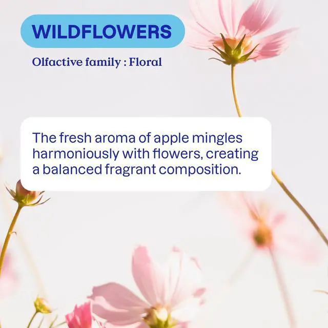 Alt view image 3 of 6 - ATTITUDE Wildflowers Scent Dish Soap, EWG Verified, Plant-Based & Vegan, Naturally Derived, 23.7 Fl Oz