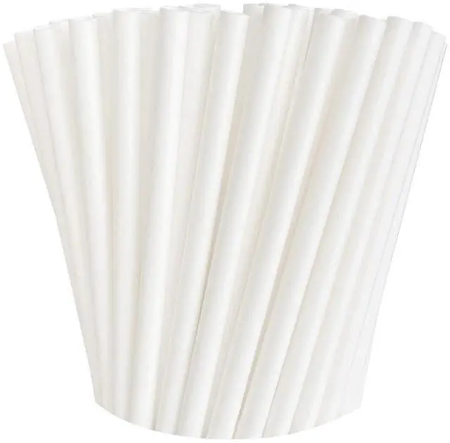 Main image of 100 Pack Paper Straws White Biodegradable Co-Friendly for Party Supplies, Bridal/Baby Shower, Birthday, Mixed Drinks, Weddings, Restaurant, Food Service, Drink Stirrer
