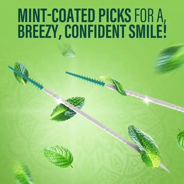 Alt view image 3 of 7 - GuruNanda 2-in-1 QuickPik Toothpick & Interdental Pick, Soft Rubber Bristles, with Travel Case, 60ct (Pack of 2)