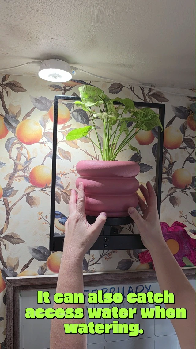 Alt view image 4 of 6 - Bamworld Hanging Planters for Indoor Plants Wall Decor Living Room