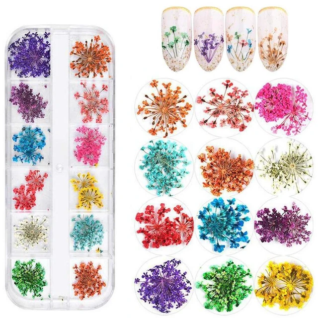 Main image of KINGMAS 12 Colors Dried Flowers for Nail Art, Dry Flowers Natural Flowers