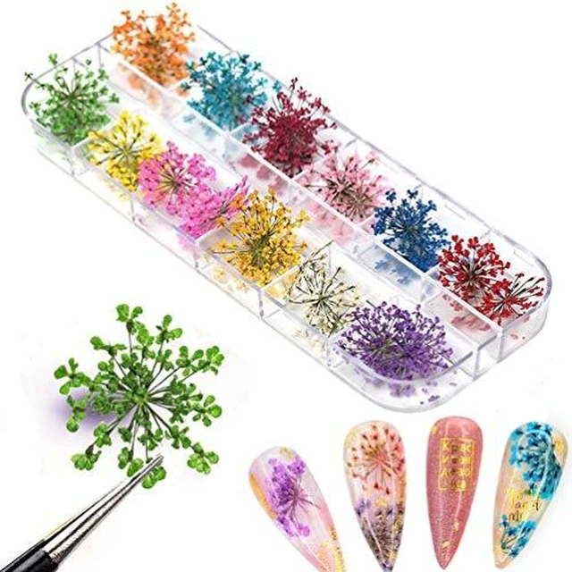 Alt view image 2 of 7 - KINGMAS 12 Colors Dried Flowers for Nail Art, Dry Flowers Natural Flowers