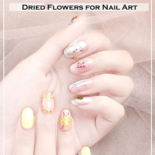 Alt view image 3 of 7 - KINGMAS 12 Colors Dried Flowers for Nail Art, Dry Flowers Natural Flowers