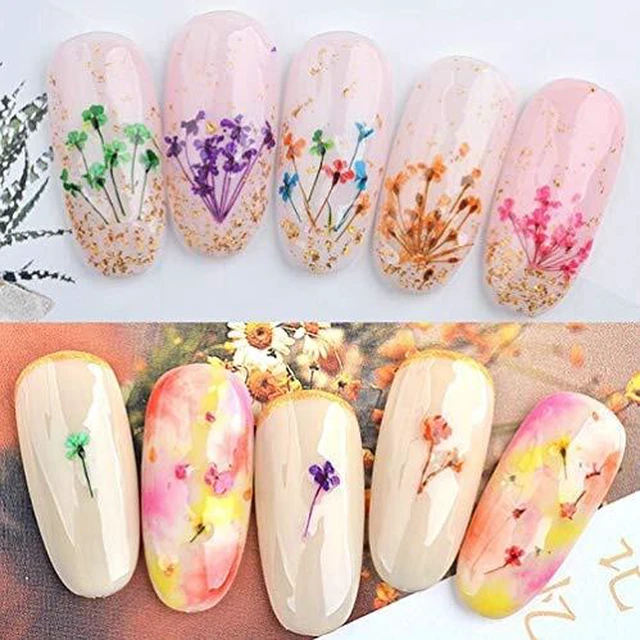 Alt view image 4 of 7 - KINGMAS 12 Colors Dried Flowers for Nail Art, Dry Flowers Natural Flowers