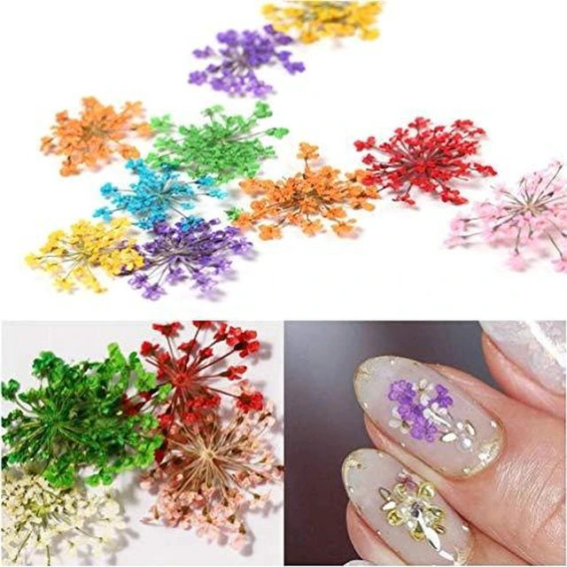 Alt view image 5 of 7 - KINGMAS 12 Colors Dried Flowers for Nail Art, Dry Flowers Natural Flowers