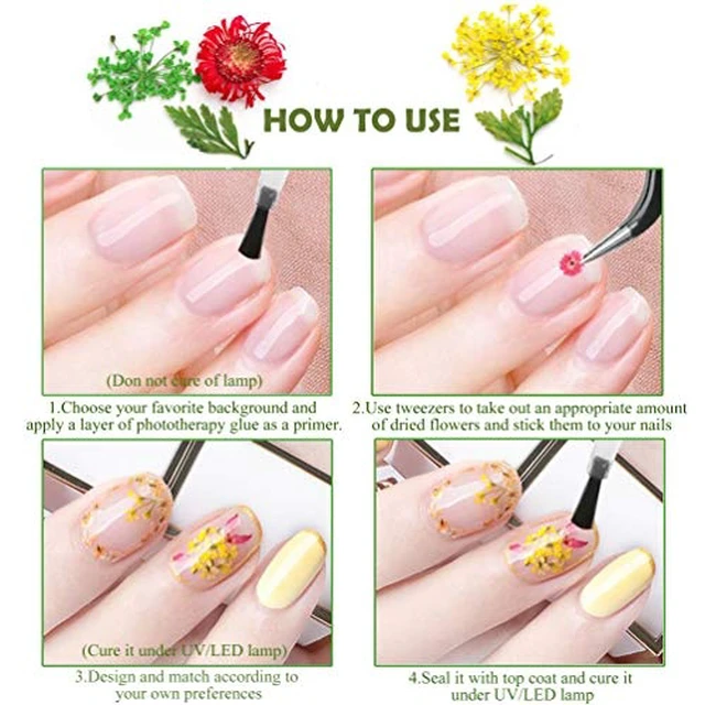 Alt view image 6 of 7 - KINGMAS 12 Colors Dried Flowers for Nail Art, Dry Flowers Natural Flowers