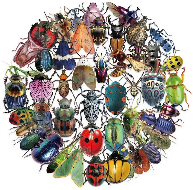 Main image of 50pcs Transparent Vintage Insect Stickers for Kids,Lifelike Insect Sticker Waterproof PET Stickers for Scrapbook Journaling Photo Album Collage Card Nature Sticker for Teens and Adults