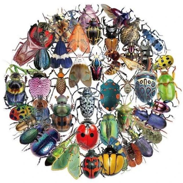 Alt view image 2 of 6 - 50pcs Transparent Vintage Insect Stickers for Kids,Lifelike Insect Sticker Waterproof PET Stickers for Scrapbook Journaling Photo Album Collage Card Nature Sticker for Teens and Adults