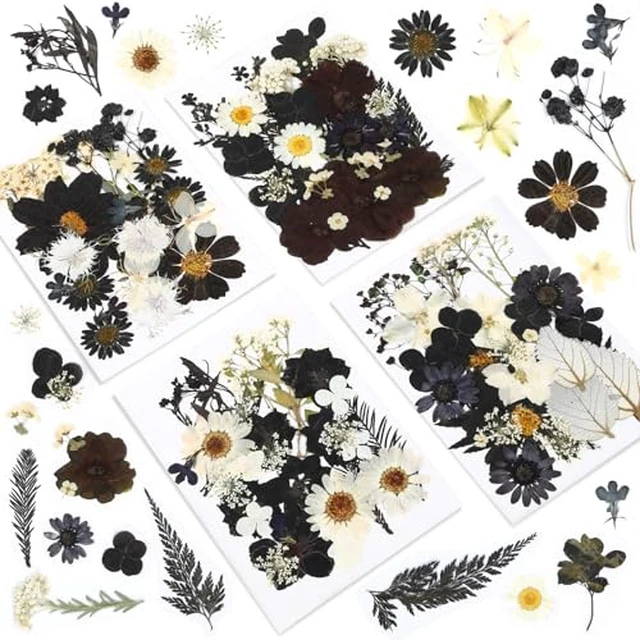 Alt view image 4 of 6 - Augshy White Dried Pressed Flowers,Real Natural Dried Flowers Colorful Pressed Flowers for Resin Mold Jewelry Art Craft DIY