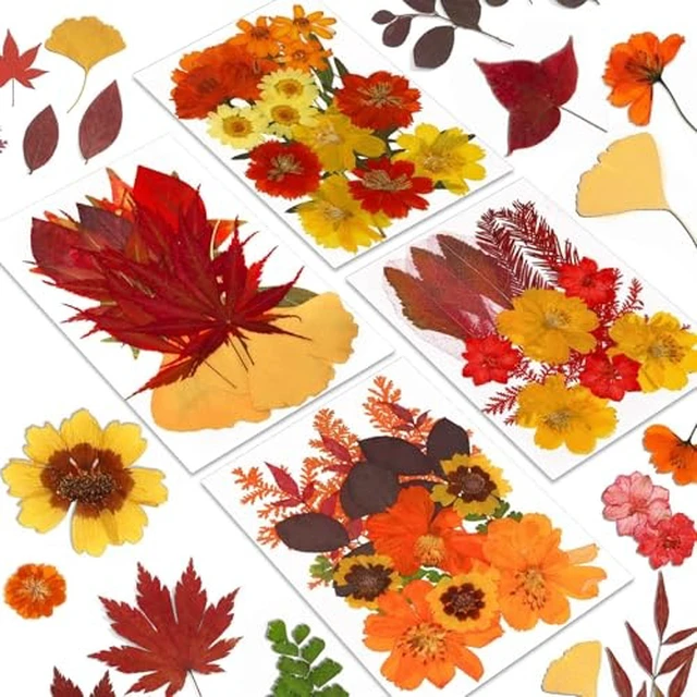 Alt view image 6 of 6 - Augshy White Dried Pressed Flowers,Real Natural Dried Flowers Colorful Pressed Flowers for Resin Mold Jewelry Art Craft DIY