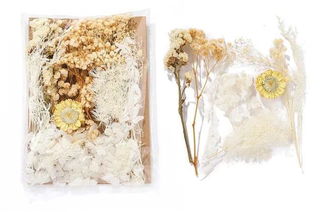 Main image of Real Dried Flowers for Crafts, Natural Dry Flowers for Crafts Mixed Natural Pressed Flowers, Small Dried Flowers for Resin Dry Flowers for Candle Making (White 2)