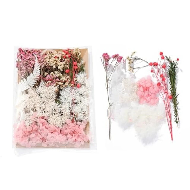 Alt view image 4 of 6 - Real Dried Flowers for Crafts, Natural Dry Flowers for Crafts Mixed Natural Pressed Flowers, Small Dried Flowers for Resin Dry Flowers for Candle Making (White 2)