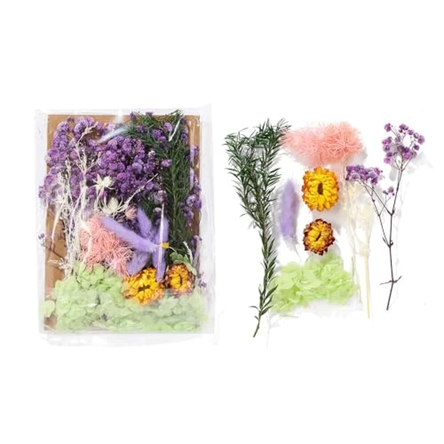 Alt view image 5 of 6 - Real Dried Flowers for Crafts, Natural Dry Flowers for Crafts Mixed Natural Pressed Flowers, Small Dried Flowers for Resin Dry Flowers for Candle Making (White 2)