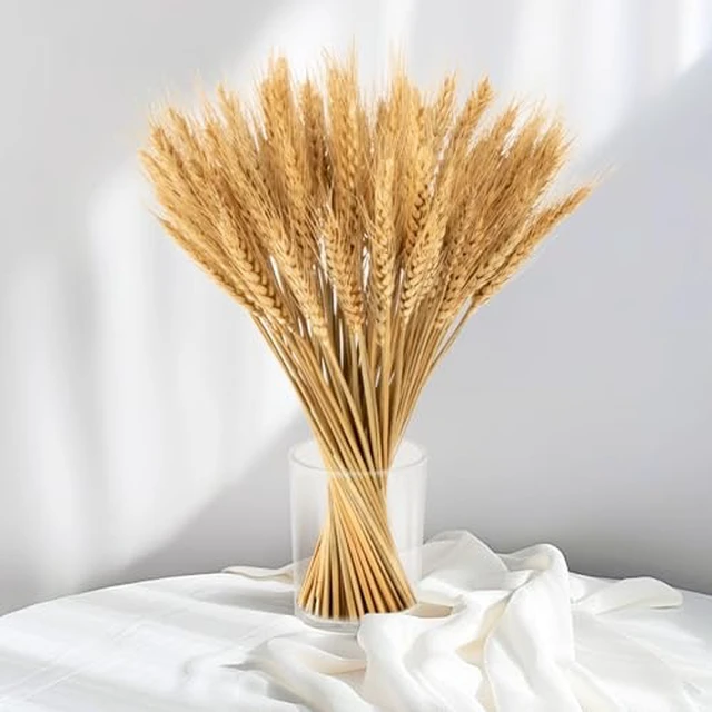 Alt view image 3 of 6 - 50 Stems Dried Wheat Stalks - Green Wheat Straw for Vases 13.3 in
