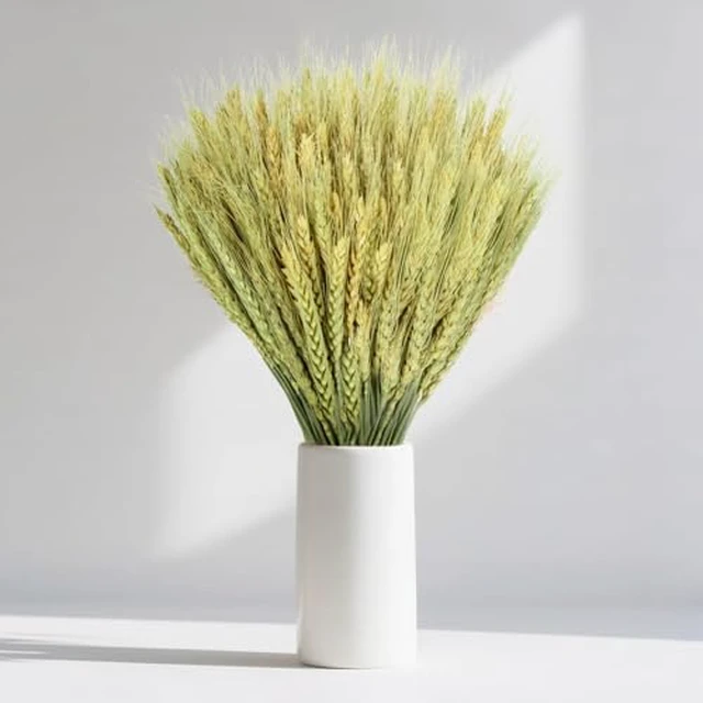 Alt view image 6 of 6 - 50 Stems Dried Wheat Stalks - Green Wheat Straw for Vases 13.3 in