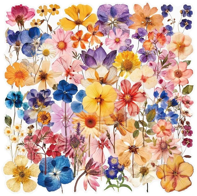 Main image of 50Pcs Transparent Pressed Dried Flower Stickers Pack, Waterproof PET Vintage Floral Stickers for Flower Lovers Teens Adults, NoResidue Decals for Journaling Scrapbooking Water Bottle Laptop Phone