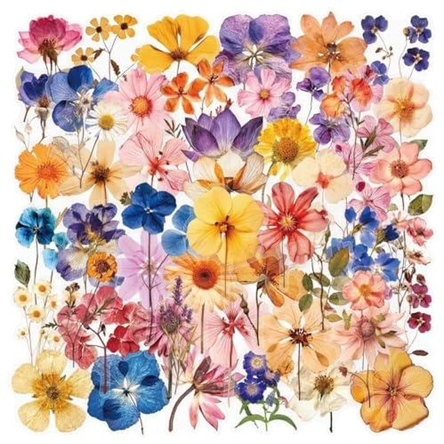 Alt view image 2 of 6 - 50Pcs Transparent Pressed Dried Flower Stickers Pack, Waterproof PET Vintage Floral Stickers for Flower Lovers Teens Adults, NoResidue Decals for Journaling Scrapbooking Water Bottle Laptop Phone