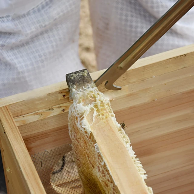 Alt view image 4 of 7 - Hive Scraper Tool, Stainless Steel Extra Long Beehive Cleaning Scraper, Beekeeping Tool, Beekeeping Supplies Beekeeper Equipment Bee Hive Tool