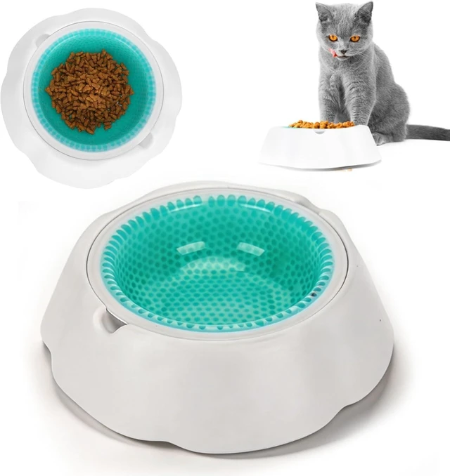 Main image of LICAEVEY Cooling Pet Bowl Water Feeding Dish for Dogs Cats