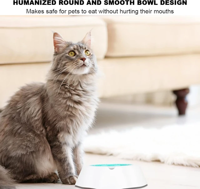 Alt view image 2 of 7 - LICAEVEY Cooling Pet Bowl Water Feeding Dish for Dogs Cats