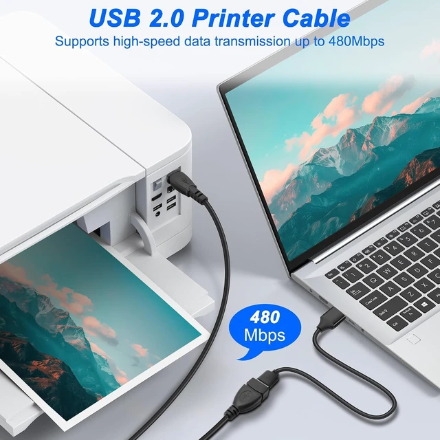 Alt view image 5 of 7 - XMSJSIY USB Female to Type B Male Printer Cable USB2.0A to Type-B Extension