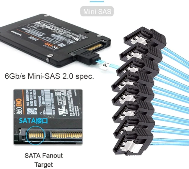 Alt view image 5 of 7 - chenyang SlimSAS Host/RAID to SATA Target Cable,Slim SAS 4.0 SFF-8654 8i 74Pin 1 to 8 SATA 7Pin Raid Controller/Hard Drive Cable 3.28FT/1.0M