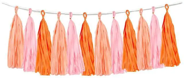 Main image of 15PCS Pink Orange Peach DIY Tissue Tassel Garland Groovy Retro Party Tassel Banner Bunting Streamer for Girl Baby Shower Groovy Halloween Birthday Bridal Shower Nursery Classroom Wall Hanging Décor
