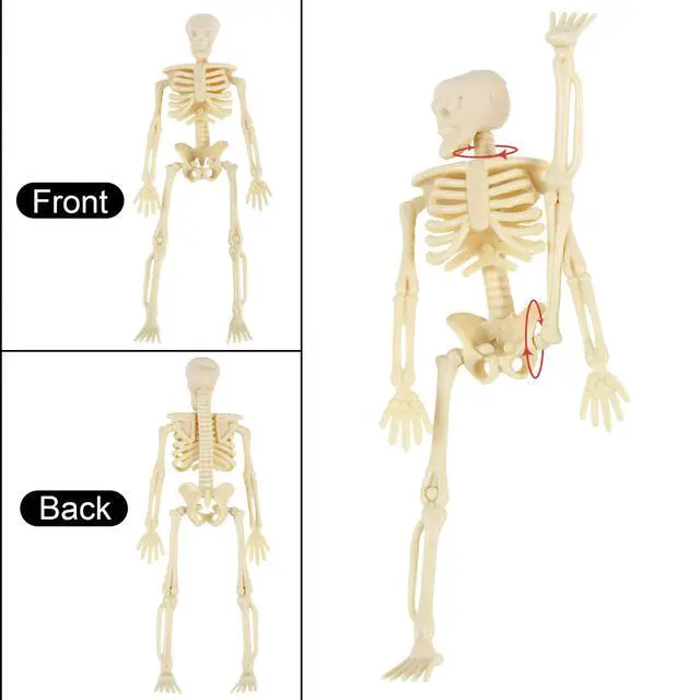 Alt view image 6 of 7 - Skeletons for Halloween Decor, 6 Piece Mini Seleton Figurines 6" Small Skeleton Halloween Decoration for Haunted House Accessories Party Favors