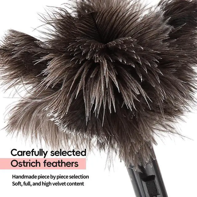 Alt view image 3 of 7 - Retractable Feather Duster-Genuine Ostrich Feathers,Anti-Static,Reusable Eco-Friendly Handheld Cleaning for Keyboard,Home,Car,Office(10 to 15 Inches) 1 Pack