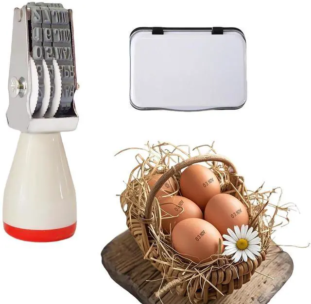Main image of Egg Date Stamp Kit with Ink Pad, Month and Day Stamper for Farm Fresh Eggs Chicken Duck Turkey Goose Poultry Eggs