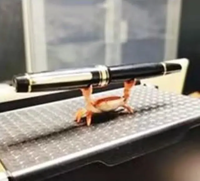 Alt view image 4 of 7 - Blue New Japanese Creative Cute Crab Pen Holder Weightlifting Crabs Penholder Bracket Storage Rack Stationery Pencil Holders and Pen Holders Desk Supplies