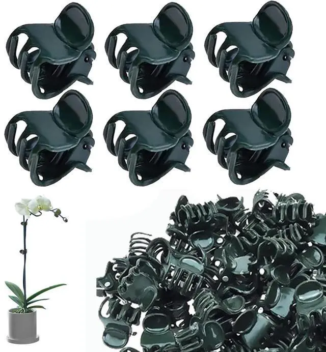 Main image of Plants Orchid Support Clips Plant Clips Orchid Clips Flower Vine Clips for Supporting Stems Vines Stalks Climbing Plant Grow Upright 30PCS Tiny Size