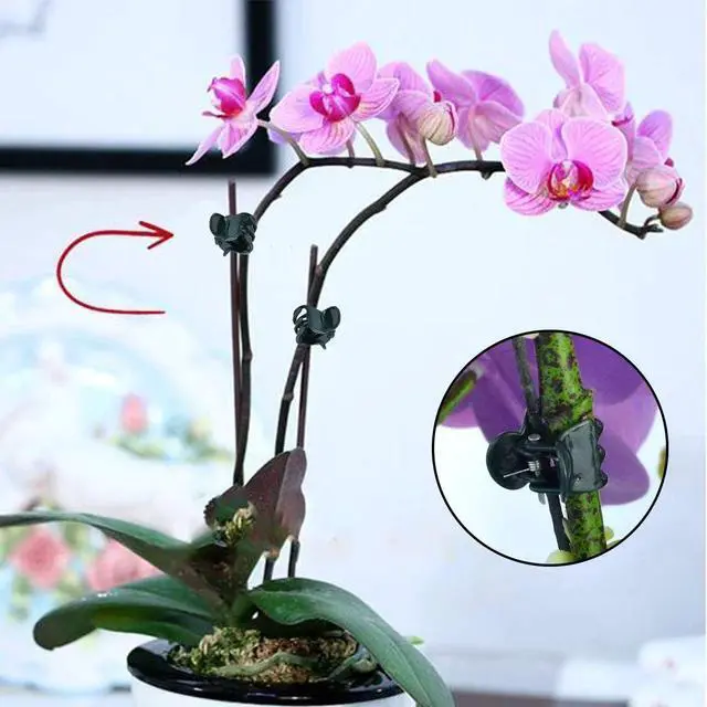 Alt view image 2 of 6 - Plants Orchid Support Clips Plant Clips Orchid Clips Flower Vine Clips for Supporting Stems Vines Stalks Climbing Plant Grow Upright 30PCS Tiny Size