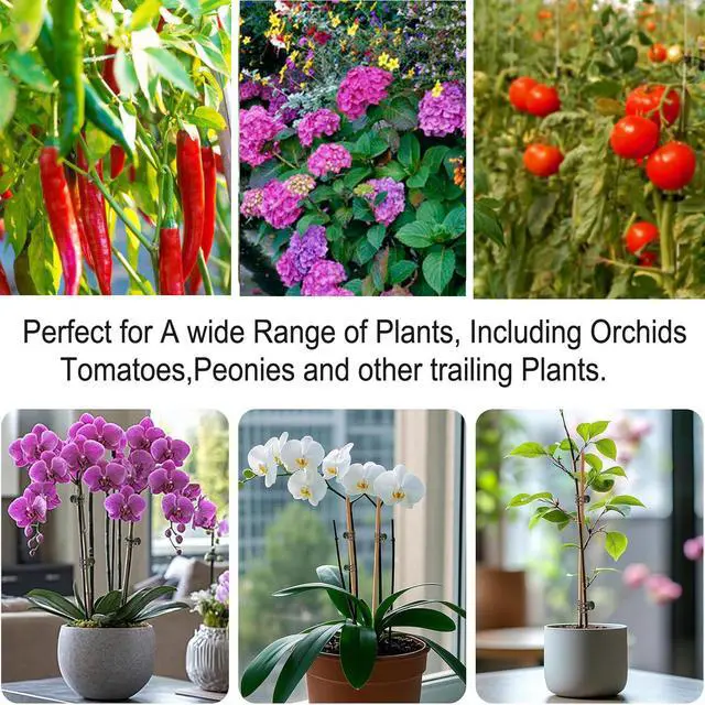 Alt view image 6 of 6 - Plants Orchid Support Clips Plant Clips Orchid Clips Flower Vine Clips for Supporting Stems Vines Stalks Climbing Plant Grow Upright 30PCS Tiny Size