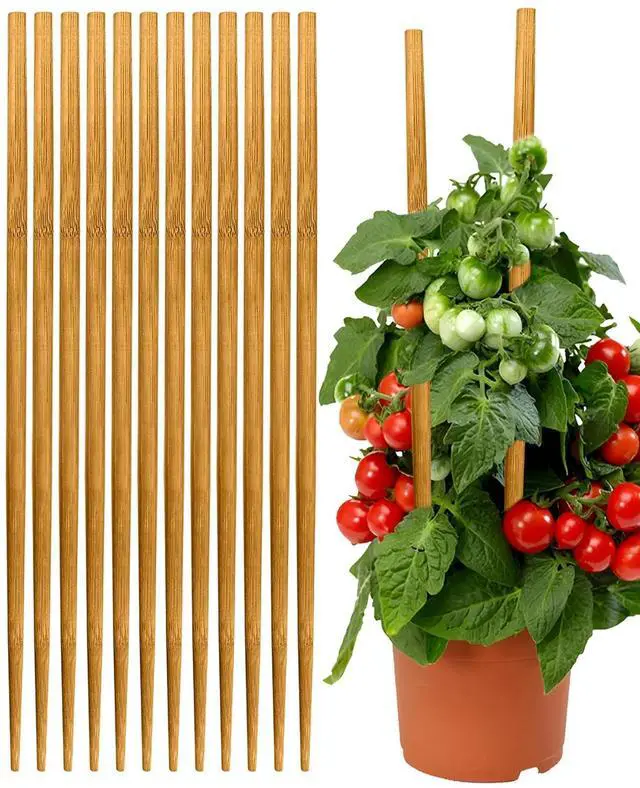 Main image of 12 Pack 17.5 Inch Plant Stakes for Indoor Plants,Bamboo Sticks for Plants Bamboo Poles Plant Support Stakes Garden Supplies Tomato Trellis for Outdoor Plants