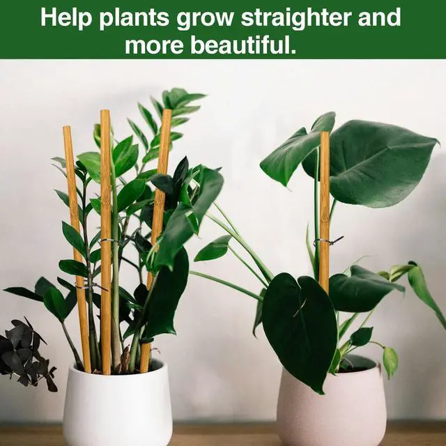 Alt view image 2 of 6 - 12 Pack 17.5 Inch Plant Stakes for Indoor Plants,Bamboo Sticks for Plants Bamboo Poles Plant Support Stakes Garden Supplies Tomato Trellis for Outdoor Plants