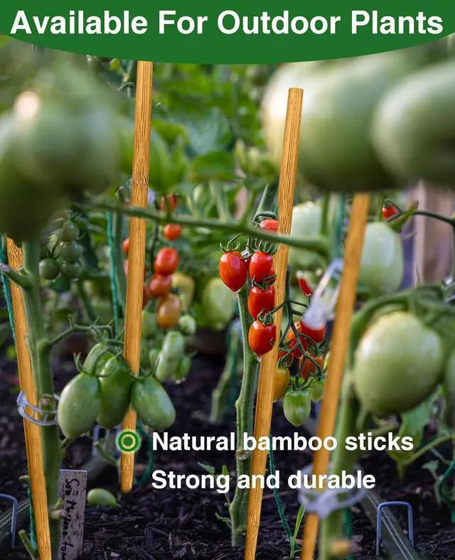 Alt view image 3 of 6 - 12 Pack 17.5 Inch Plant Stakes for Indoor Plants,Bamboo Sticks for Plants Bamboo Poles Plant Support Stakes Garden Supplies Tomato Trellis for Outdoor Plants