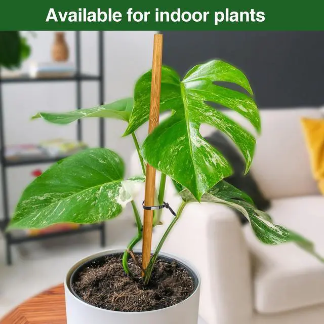 Alt view image 4 of 6 - 12 Pack 17.5 Inch Plant Stakes for Indoor Plants,Bamboo Sticks for Plants Bamboo Poles Plant Support Stakes Garden Supplies Tomato Trellis for Outdoor Plants