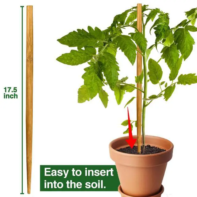 Alt view image 5 of 6 - 12 Pack 17.5 Inch Plant Stakes for Indoor Plants,Bamboo Sticks for Plants Bamboo Poles Plant Support Stakes Garden Supplies Tomato Trellis for Outdoor Plants