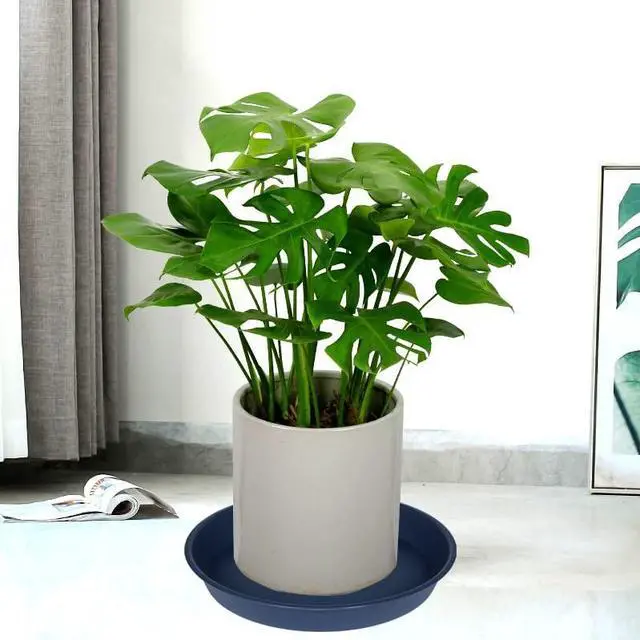 Alt view image 4 of 5 - 6 Pack Plastic Plant Saucer Planter Water Drip Tray, 4 5 6 7 8 9 10 11 12 inch, Heavy Sturdy Tray for Indoors Outdoor Plants, Flower Pot Saucers for Pots Base (4", Blue)