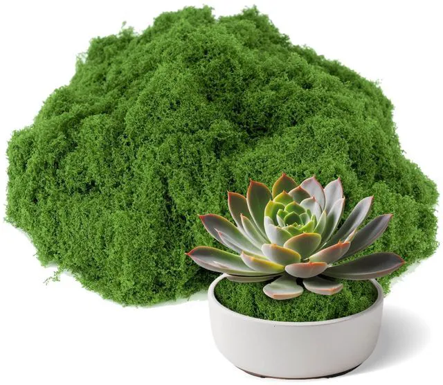 Main image of Fake Green Moss for Potted Plants Indoor, 3.5 OZ Artificial Moss for Crafts, Decorative Faux Grass for Fairy Garden, DIY Table Centerpieces, Model Making, Wedding Floral Decor, Terrarium & Home Decor
