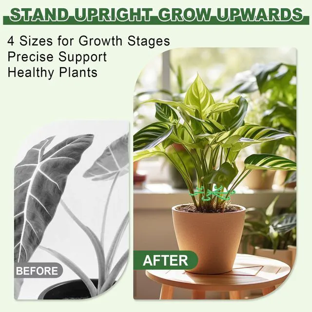 Alt view image 4 of 7 - 8pcs Plant Stem Support, Plant Support for Indoor Plants, 4 Sizes Climbing Houseplant Stem Holders, Reusable Plant Stabilizer, Indoor Plants Accessories