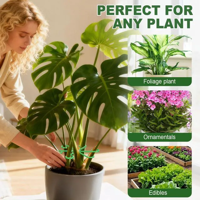 Alt view image 6 of 7 - 8pcs Plant Stem Support, Plant Support for Indoor Plants, 4 Sizes Climbing Houseplant Stem Holders, Reusable Plant Stabilizer, Indoor Plants Accessories