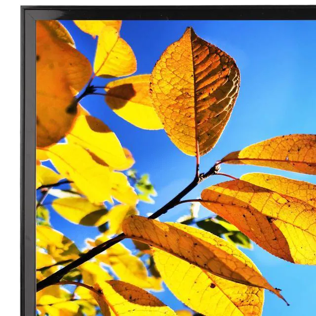 Alt view image 5 of 7 - 5x7 Picture Frame Black,Gallery Certificate Document Diploma Photo Frames | Light Weight,Table Top Poster Picture Photo Frame,Horizontal,Vertical