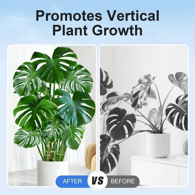 Alt view image 3 of 7 - 20PCS Plant Stem Supports for Monstera, 4 Sizes for Indoor Plants | Monstera Plant Supports for Thriving Growth, Stem Support for Climbing Indoor Plants, Reusable Green Plastic Accessories